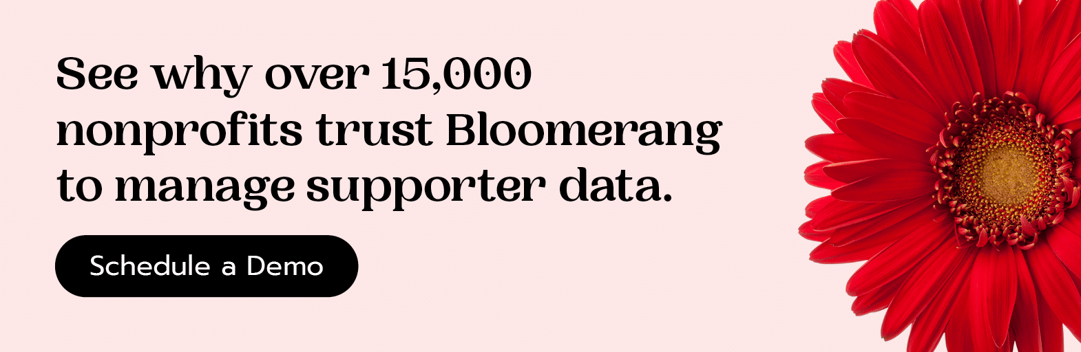 Try the nonprofit software trusted by over 15,000 organizations. Schedule a Bloomerang Demo.